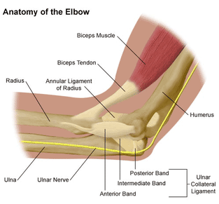 St. Louis elbow surgeon